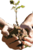 pngwing.com (1)